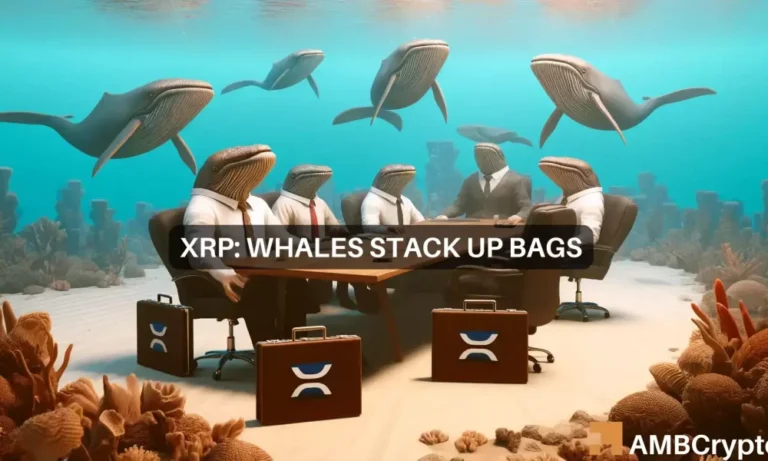 XRP whales 1 1000x600