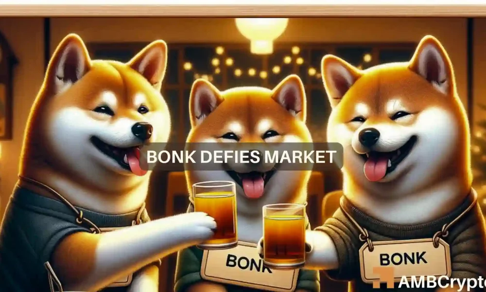 bonk defies market pullback