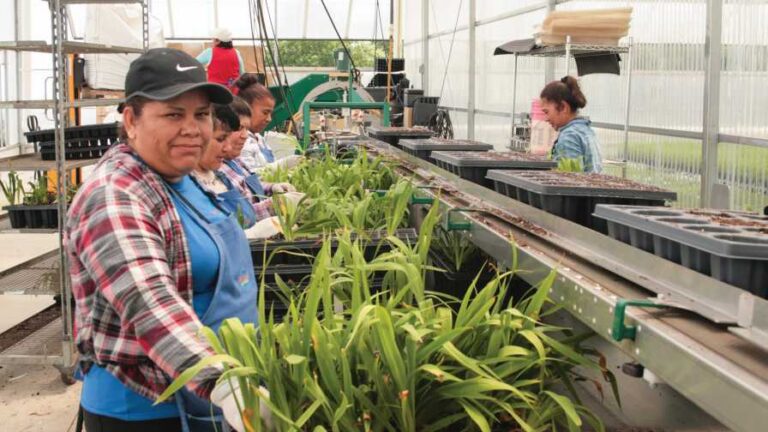 greenhouse workers featured
