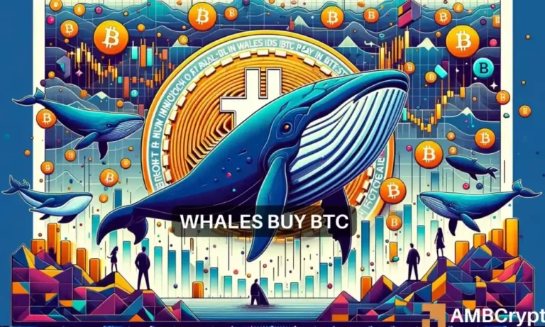 BTC whales buy 1 1000x600