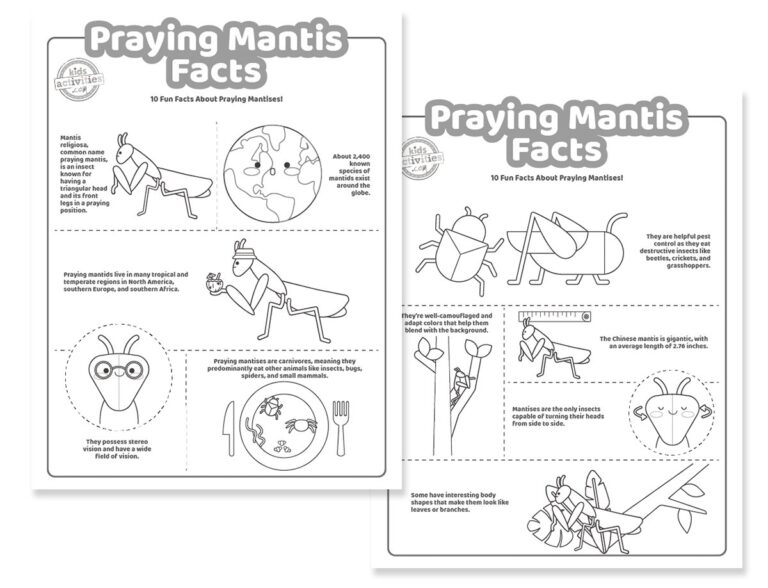 Praying Mantis Facts Coloring Pages Facebook