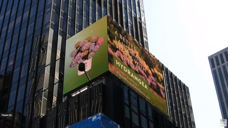Proven Winners Spring Meadow Nursery Times Square display
