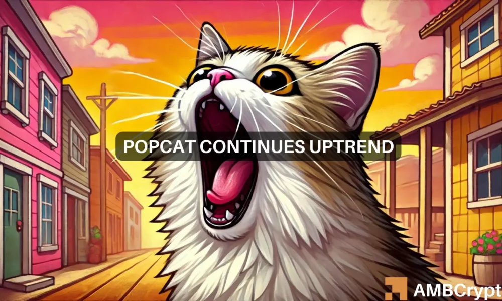 Popcat Featured Image