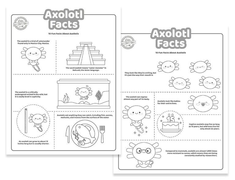 Axolotl Facts Coloring Pages Facebook