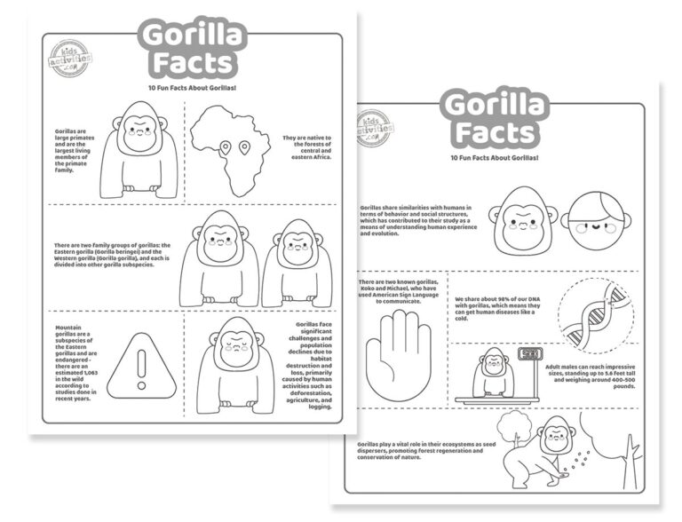 Gorilla Facts Coloring Pages Facebook