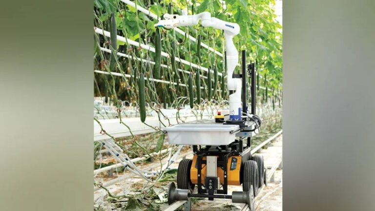 Vineland Research and Innovation Centre technology licensing proof of concept of vegetable harvesting robot picking cucumbers