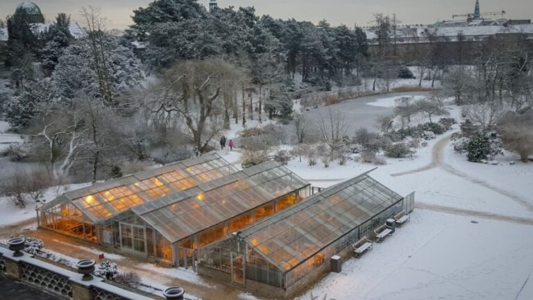 A greenhouse lit up with lights and growing plants and surrounded by winter weather and snow