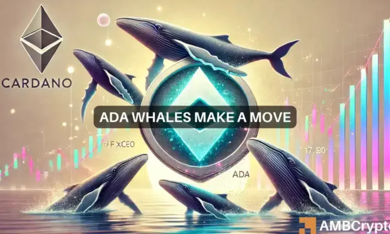 ADA whales make a move 1000x600