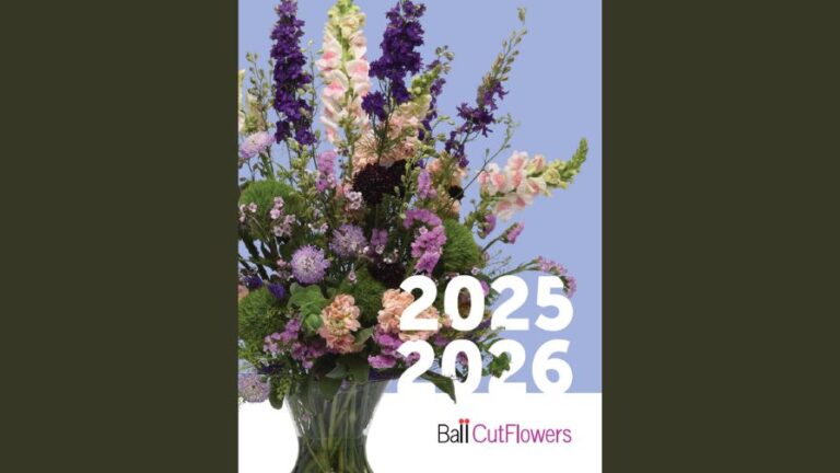 Ball Seed Cut Flowers catalog front cover page