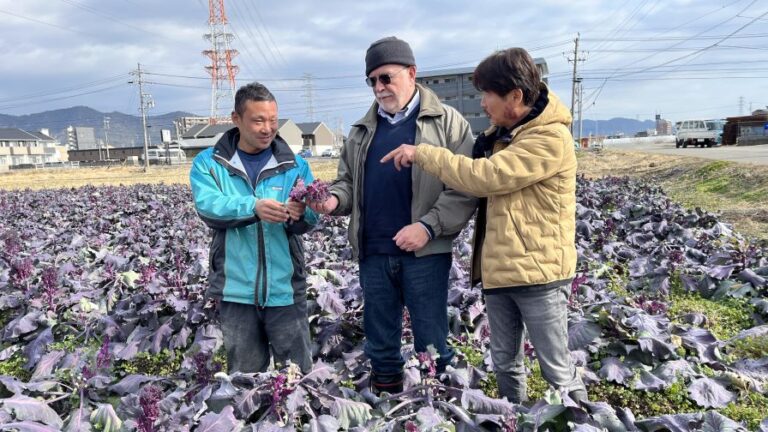 Rick Grazzini examining Brassica Purplicious crop