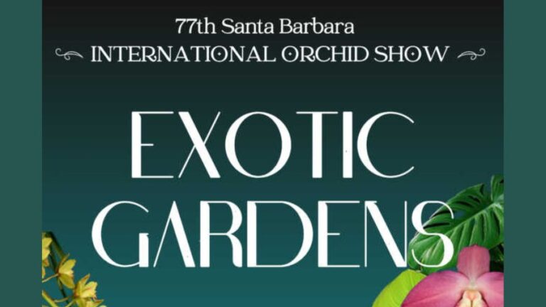 77th Santa Barbara International Orchid Show 2