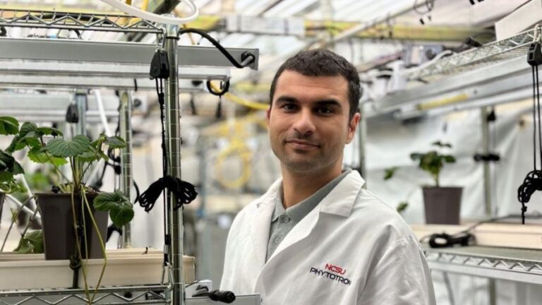 Moein Moosavi Nezhad is earning his Ph.D. in strawberry propagation at North Carolina State University