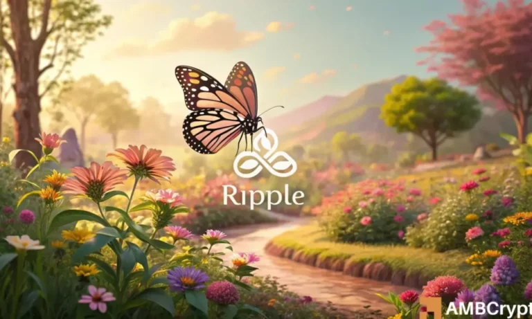 Ripple 1 1000x600