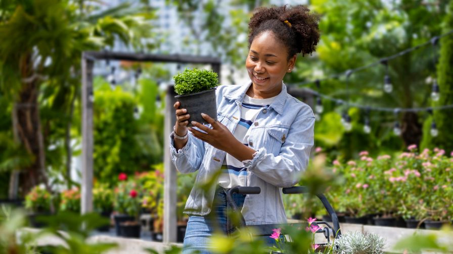 Young African customer is choosing exotic plant from the local garden center nursery with shopping cart full of summer plant for weekend gardening and outdoor pursuit