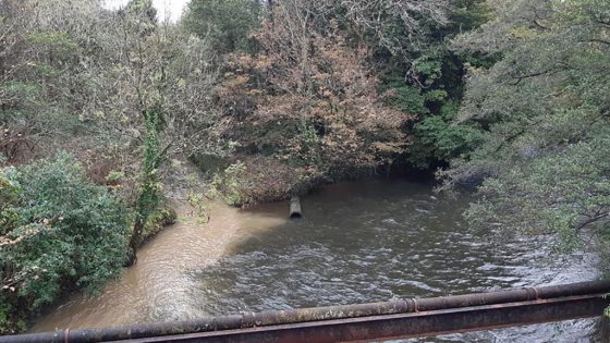 pollution of the river ogmore