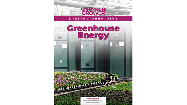 896x504 2025 02 Greenhouse Energy Digital Deep Dive COVER