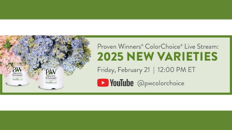 Proven Winners ColorChoice 2025 new shrub varieties