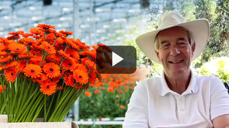 2025 04 08 Alllan Video Cut Flowers Feature