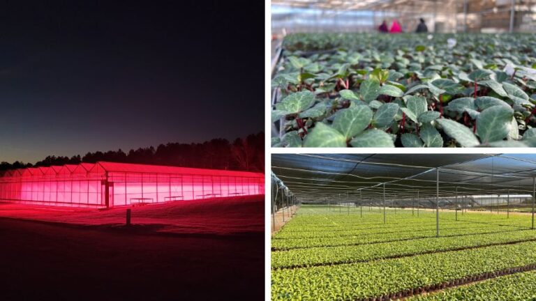 James Greenhouses acquisition by Riverbend Nursery